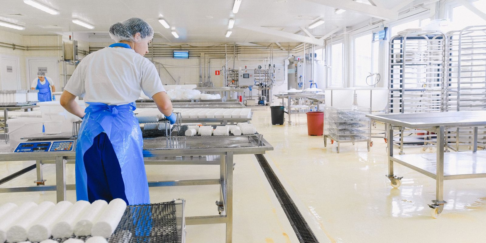 A worker in a hairnet and a blue apron lays out fresh cheese on stainless steel racks in a bright, clean dairy production room