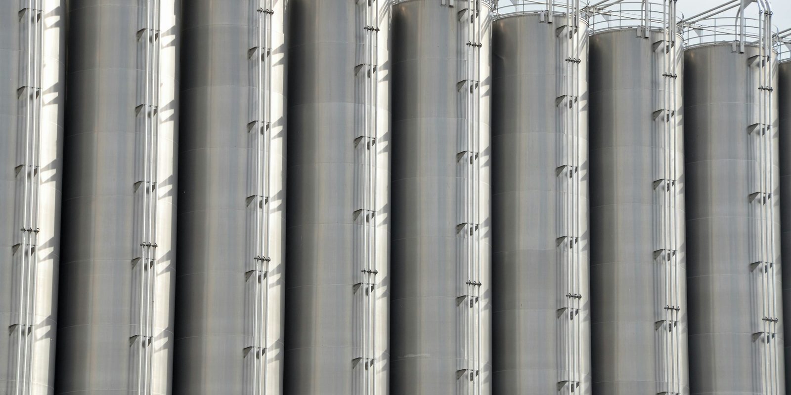 A row of tall stainless steel silos with access ladders and railings along the top