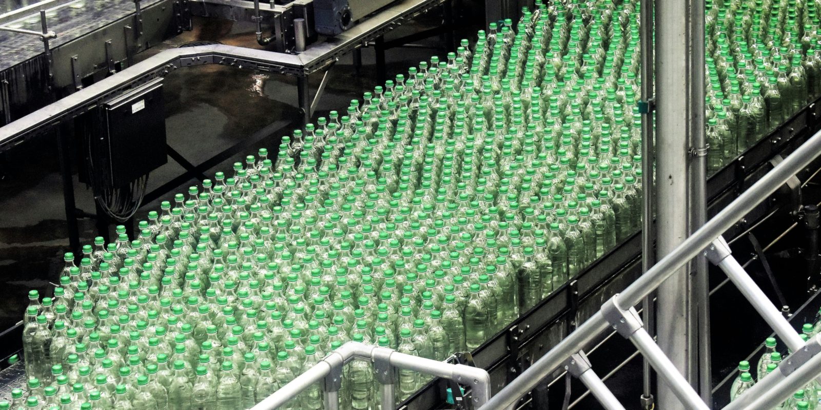 Hundreds of capped glass bottles moving across a conveyor table on a bottling line