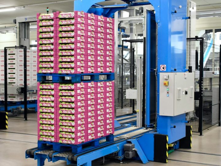 A pallet of boxed fruit in a stretch-wrapping machine at the end of a packing line