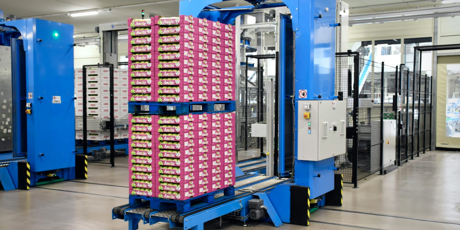 A pallet of boxed fruit standing in a blue stretch-wrapping machine at the end of a packing line